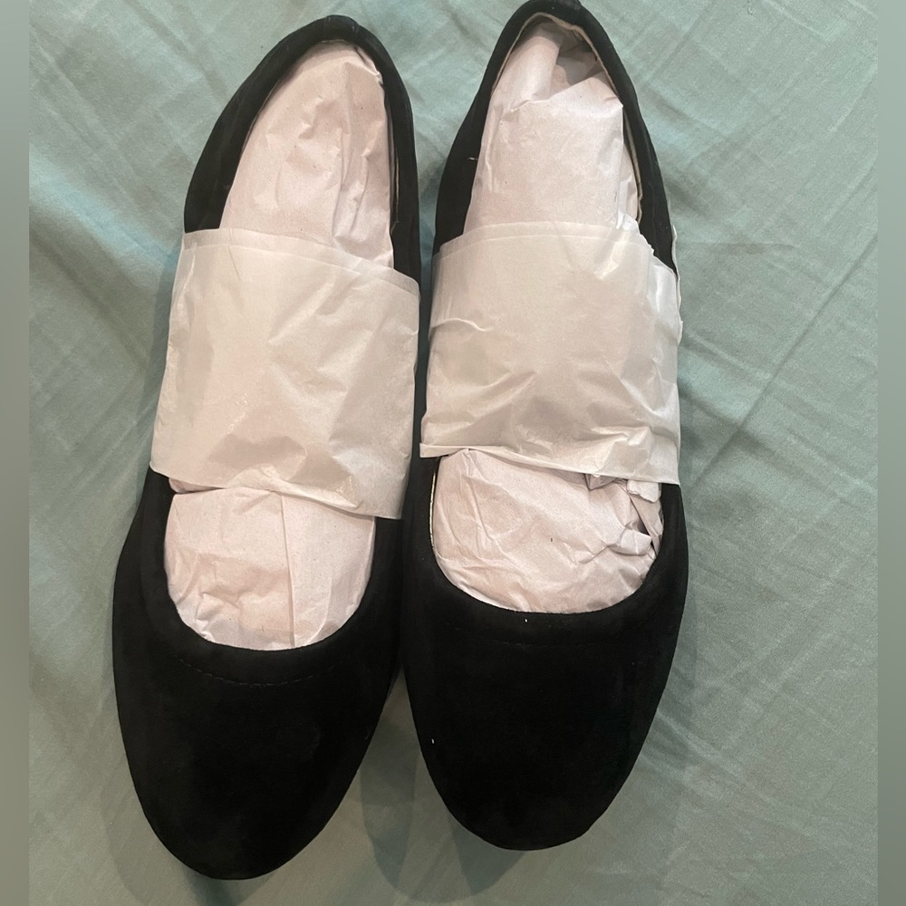 Audrey Brooke Size 6 Ballet flats. New with box